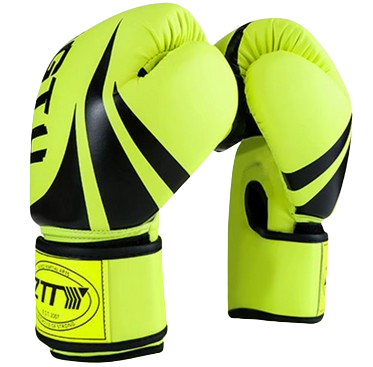 Professional Boxing Gloves