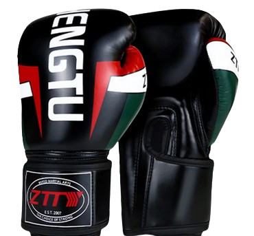 Professional Boxing Gloves