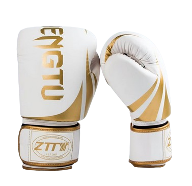 Professional Boxing Gloves